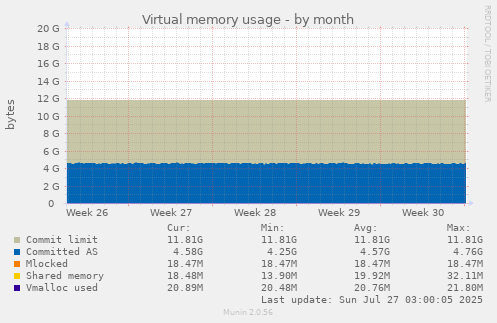 Virtual memory usage