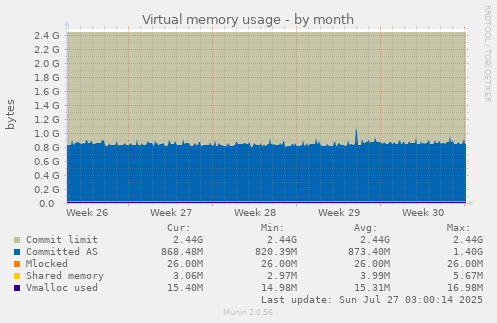Virtual memory usage