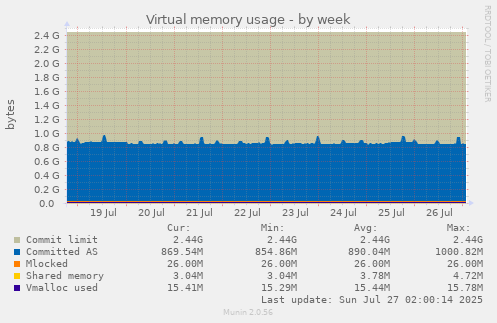 Virtual memory usage